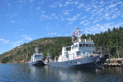 Navy-Escort-Boats